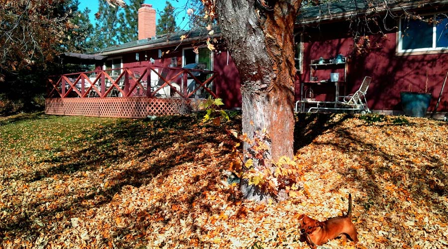 How to prepare your Kingsport TN Home for Fall